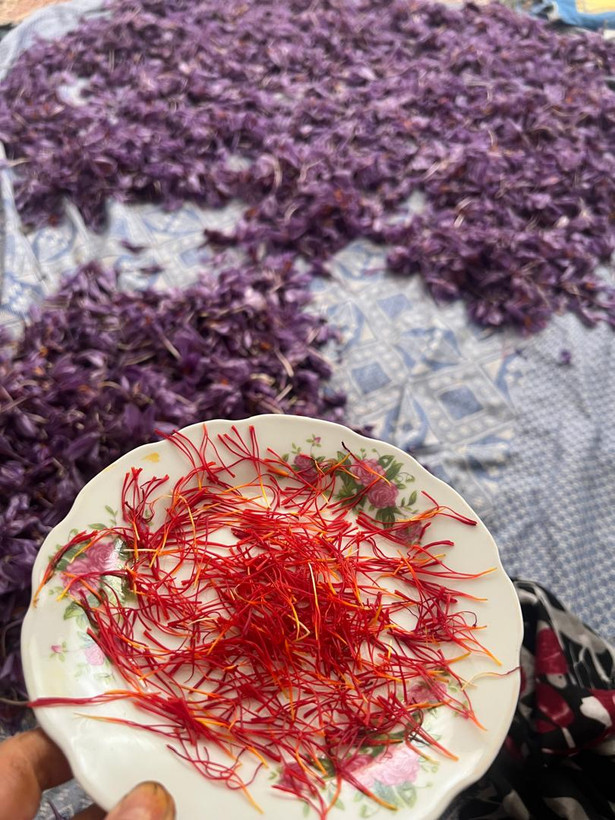 زعفران قائنات نیم مثقال